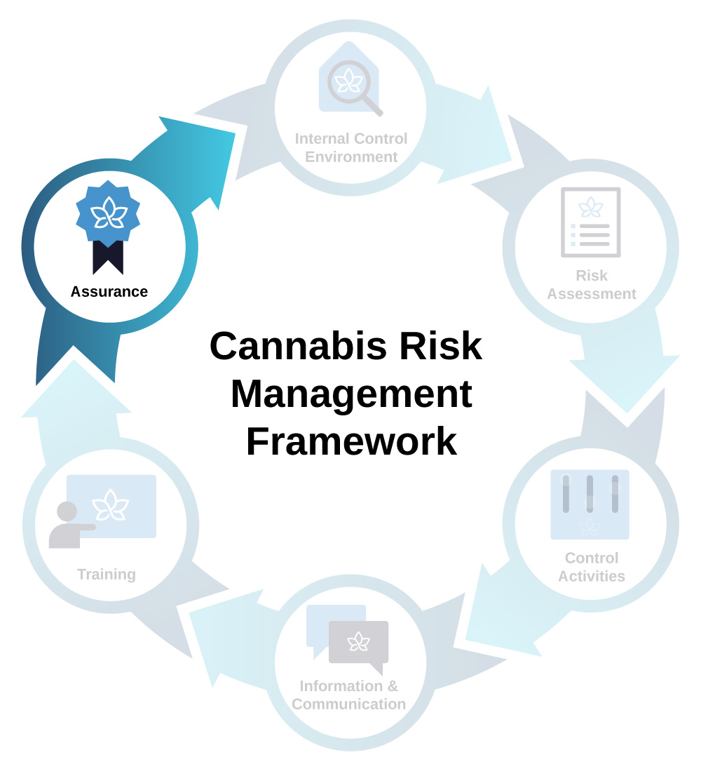CRMF graphic with Assurance highlighted